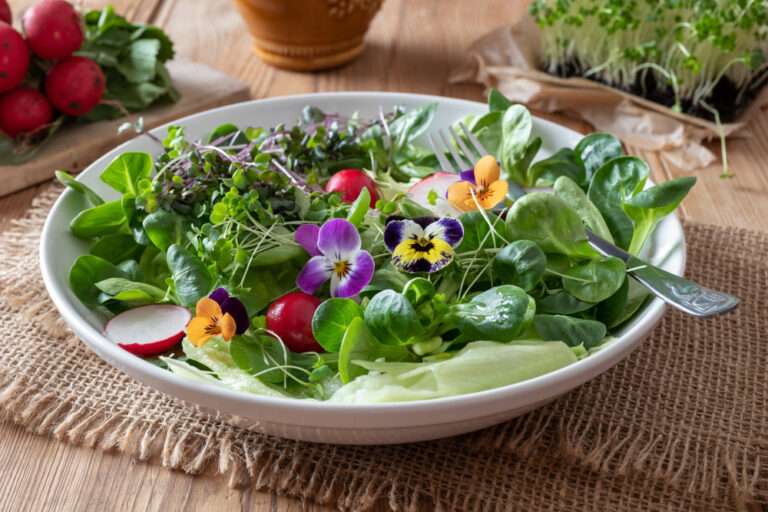 Spring salad with edible flowers - pansies, lamb's lettuce and fresh broccoli and kale microgreens