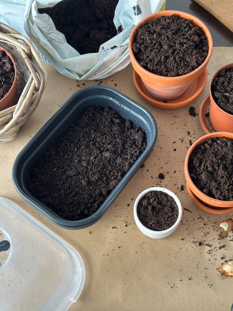 Spring gardening. Different pots with soil on the table.