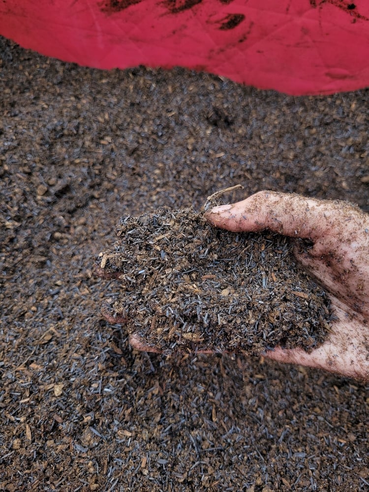 Beautiful rich homemade compost