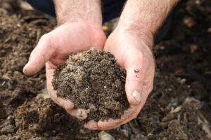 Finished and sifted homemade compost to use in containers